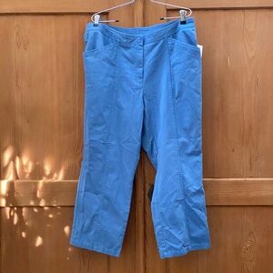 NWT Caslon Wave Blue Cotton Twill Pants